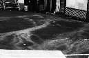 _DSC2635%20(1)