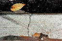 _DSC2636%20(1)