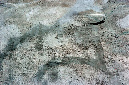 _DSC2662%20(1)
