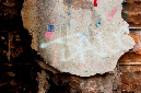 _DSC2664%20(1)