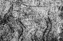 _DSC2680%20(1)