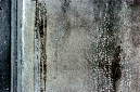 _DSC2686%20(1)