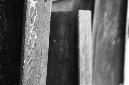 _DSC2700%20(1)