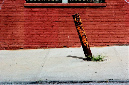_DSC2707%20(1)