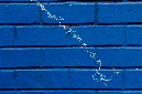 _DSC2734%20(1)
