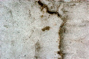 _DSC2758%20(1)