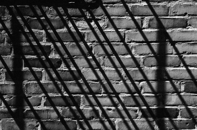 _DSC2969%20(2)