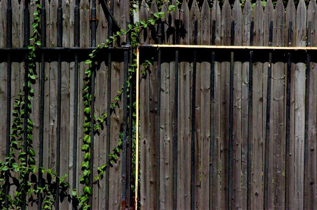 _DSC3066%20(1)