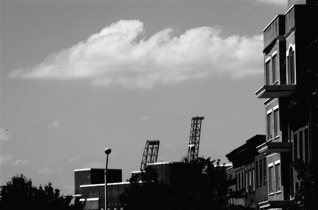 _DSC3072%20(1)
