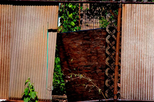 _DSC3082%20(1)