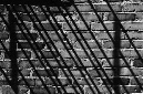 _DSC2969%20(2)