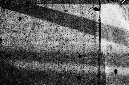 _DSC2974%20(1)