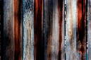 _DSC2981%20(1)