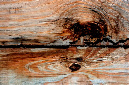 _DSC3002%20(1)