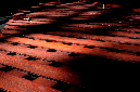 _DSC3027%20(1)