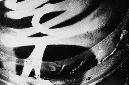 _DSC3050%20(1)