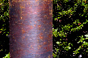 _DSC3058%20(1)