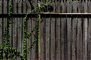 _DSC3066%20(1)
