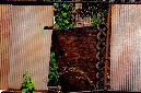 _DSC3082%20(1)