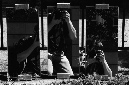 _DSC3093%20(2)