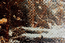 _DSC3104%20(1)