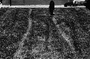 _DSC3158%20(1)