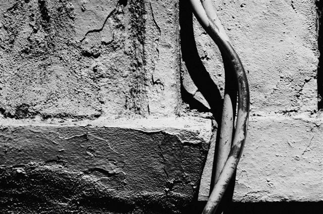 _DSC3336%20(1)