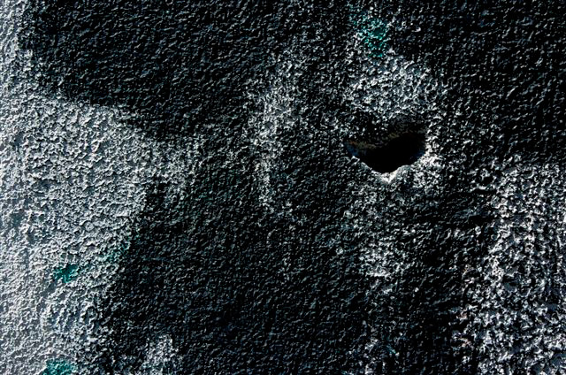 _DSC3343%20(1)