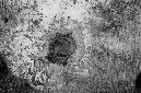 _DSC3249%20(1)