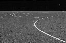 _DSC3262%20(1)