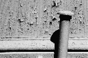 _DSC3277%20(1)
