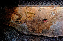 _DSC3294%20(1)