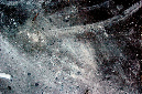 _DSC3296%20(1)