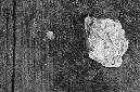 _DSC3318%20(1)