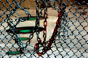 _DSC3320%20(1)