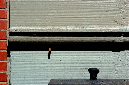 _DSC3330%20(1)
