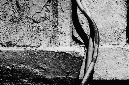 _DSC3336%20(1)
