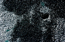 _DSC3343%20(1)