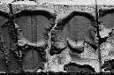 _DSC3346%20(1)