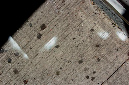 _DSC3347%20(1)