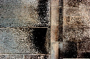 _DSC3358%20(1)