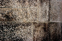 _DSC3360%20(1)