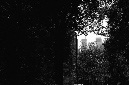 _DSC3384%20(1)