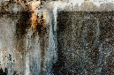 _DSC3391%20(1)