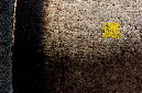 _DSC3429%20(1)