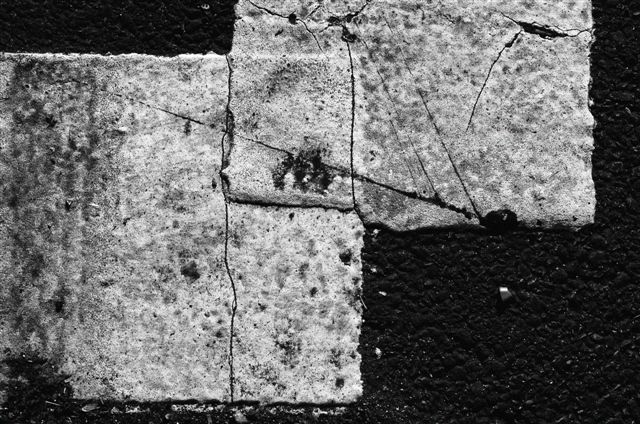_DSC3776%20(1)