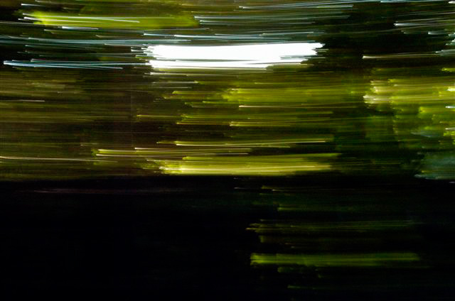 _DSC3843%20(1)
