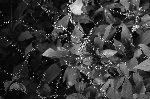 _DSC3953%20(1)