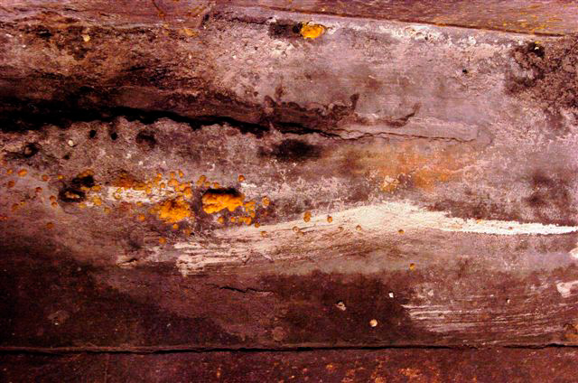 _DSC3962%20(1)