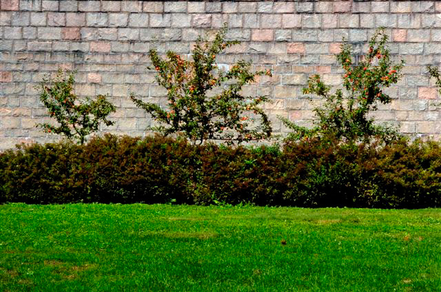 _DSC4039%20(1)